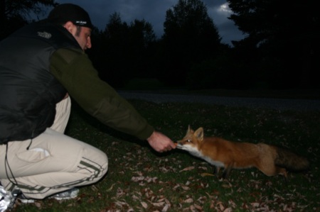 Ric and the fox